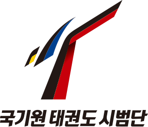 Kukkiwon Taekwondo Demonstration Team